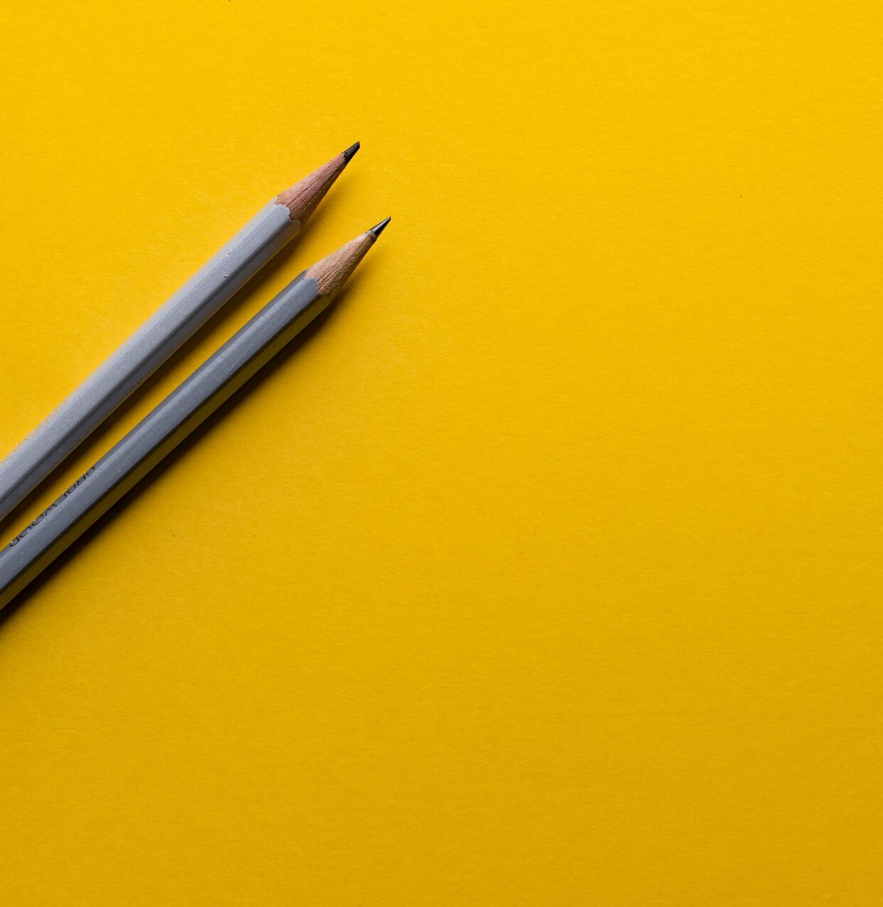 PHS AG: Mitarbeiter-Workshops zu XING und LinkedIn